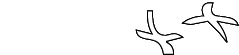yacht++ Homepage